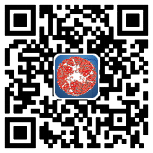 1449048472792041711.png android.png